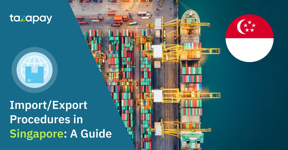 Import/Export Procedures in Singapore: A Guide